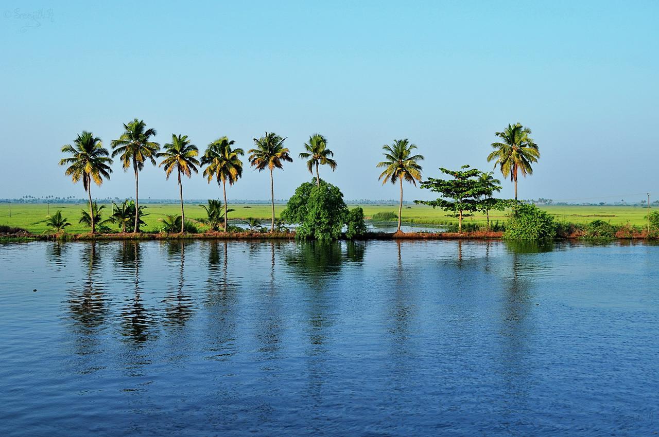Marari Peterland Leilighet Alappuzha Rom bilde